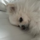 이김 이미지