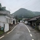 노랑약국 이미지