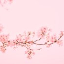 대봉숯불갈비 이미지