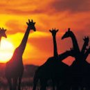 서초번역행정사 이미지