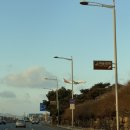 하나투어 매일관광 외 | [가족여행] 홍콩🌃DAY+1|하나투어 홍콩·마카오 3박 4일 후기|설연휴공항주차대행, 그레이터베이항공...