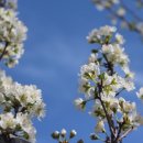 신태양농장 이미지