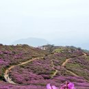 😛😜🤪🤔😝@@@@@ 5월 14일 오늘은 로즈데이 입니다 !!!!!! 이미지