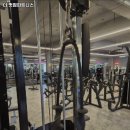 더멋짐피트니스 이미지