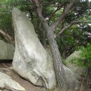 영신숲길2 이미지