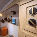 판판포포 이미지