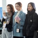 라임리아