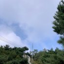 커피별관 - 담양군 천변1길 15 | 커피별관