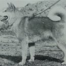 다두농장 이미지