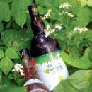 주)보성주 티스토리