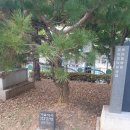 송산초등학교 이미지