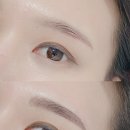 레브&셀스테틱뷰티아카데미 - 강남구 테헤란로25길 20 | 성수반영구 눈썹 잘하는 눈썹맛집 레브&셀스테틱 뷰티아카데미