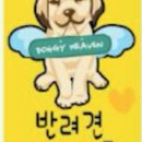 도기헤븐 이미지