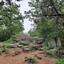 백양산 나들숲길 이미지