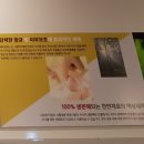 나노원적외선