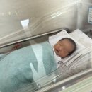 [출산] 에덴메디여성병원 39주0일 응급제왕절개 출산 후기
