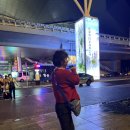 중로(보)1-1-4 | 3월 장가계 패키지 여행 후기 | 효도관광인 줄 알았는데 2만보 극기훈련 (천문산·원가계)