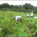 진성농장 이미지