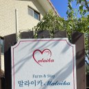 호수민박펜션 이미지