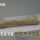 이재명 대표 피습 당시 공중파 방송 화면 상황.twt 이미지