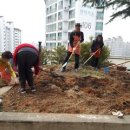 생활원예(주간) 이미지