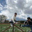 한일렌터카 이미지