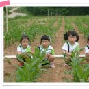 유정천리 이미지