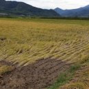 태평상회 이미지