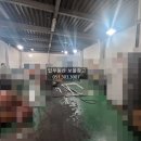 부동산보물창고공인중개사사무소 이미지