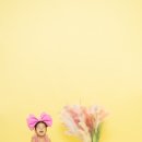 정원사진관 이미지