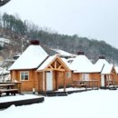 아리지 핀란드 이미지