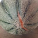 천고농장 이미지