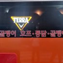 등대호프 - 목포시 | 등대호프