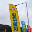 제3회 화도진음악회(현장, 온라인) | 2024 강진청자축제 후기 (with 강진군 SNS 서포터즈 첫 활동)