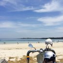 제주의 추억 이미지