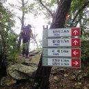 늑천정 옆 이미지