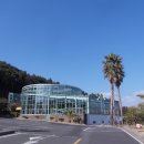 감귤박물관 이미지