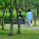 가원습지생태자연공원 이미지