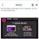 아이돌챔프 투표 부탁 드립니다 이미지