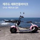 신나는전동바이크 네이버블로그