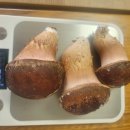 송화농장2 이미지