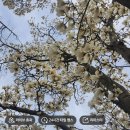 4447 | 경주 당일치기 코스 기록 및 간단 후기