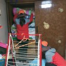 이불마을관리 사회적협동조합 이미지