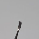 캣플라워 이미지