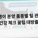 베이비몽 강아지분양 인천청라점 이미지