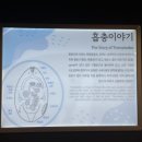 기생충박물관 이미지