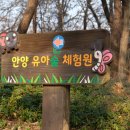 석수오르다어린이집 | 안양산 관악산 산림욕장 둘레길에 위치한 안양유아숲체험원