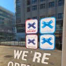 1388 | 파스타] 내돈내산 힛유어텅 다소 아쉬웠던 이용후기 (우니 감태 파스타, 명란 크림 파스타, 하몽 수란...