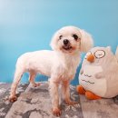 GS25포항송도점 이미지