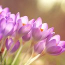 천지목장 이미지